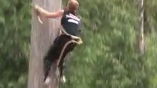 Worlds Fastest Speed Climber  Stirling Hart [upl. by Akamaozu]