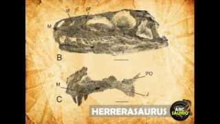 Herrerasaurus  ABCsaurio [upl. by Sidnal]