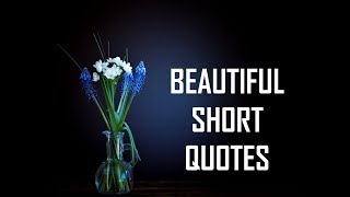 Beautiful Short Quotes  Life Lessons [upl. by Clio35]