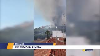 Faggiano incendio in pineta [upl. by Veno]