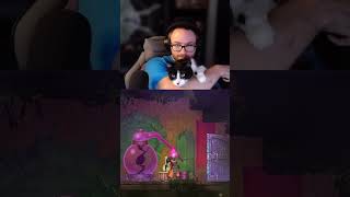 My Cat Interrupts Dead Cells gaming deadcells games interruption batman cat [upl. by Nawtna]