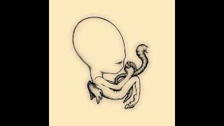 Sigur Rós – Ágætis byrjun – full album AT ONCE [upl. by Driskill761]