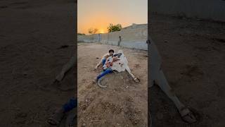 Beautiful Cow  Karachi Cow Mandi 2024  Bakra Mandi 2025  Multan Mandi Update shorts cowvideos [upl. by Iznekcam]