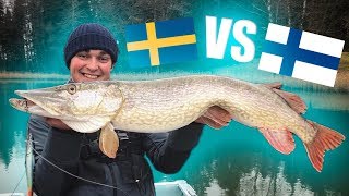 SWEDEN vs FINLAND  Pike Fishing Competition ft Urpoerämies [upl. by Orme241]