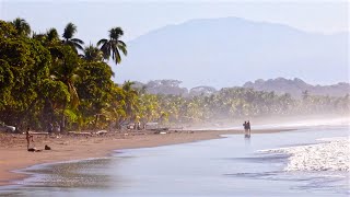 Esterillos Costa Rica  Wildlife amp Airbnb Near Beach [upl. by Greenes]