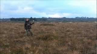 Falconry Snipe hawking in Ireland [upl. by Niamreg]