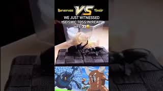 Heracross vs pinser irl🫰 [upl. by Russell842]