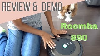 Can it Beat Dog Hair  iRobot Roomba 890 Review amp Demonstration [upl. by Nniuq]