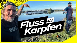 KARPFEN am FLUSS  FISCH nimmt SCHNUR ohne Ende  Karpfenangeln vor den Füßen [upl. by Jarin797]