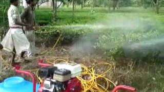 Power Sprayer In Tea Garden [upl. by Euqinomahs]