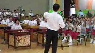 Woodlands Primary School Chinese Orchestra  Tai Yang [upl. by Ynaffets473]