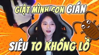 Talkshow  CÂU CHUYỆN 3 NGÀY TRỐN STREAM CỦA EM MAO [upl. by Epperson3]