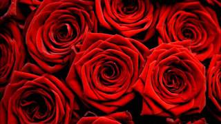 Red Roses for a Blue Lady  Backing Track [upl. by Blondy619]