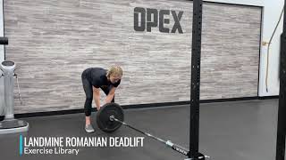 Landmine Romanian Deadlift [upl. by Hallett]