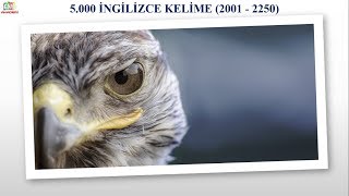 5000 İNGİLİZCE KELİME  RESİMLİ VE SESLİ  2001  2250 [upl. by Aihsekin]