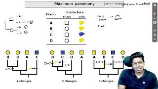 Phylogenetic Tree by Maximum Parsimony for CSIR  By Virendra Singh  CSIR  GATE  DBT  ICMR [upl. by Anyahc]