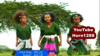 Ethiopian Traditional Music [upl. by Haron]