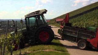 Mistfahren in den Weinberg 2013 mit Fendt und Fischer HD [upl. by Narmi]