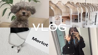 Vlog 10년차 디자이너 퇴사 후 시험관 시작💉  실버말티푸 똑딱이🐰 Merlot 크나이프입욕제🛁 서울디자인리빙페어 선녀바위 [upl. by Letsirk198]