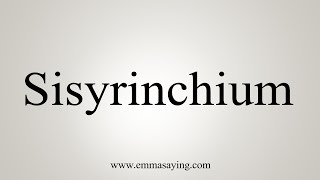 How To Say Sisyrinchium [upl. by Suixela]