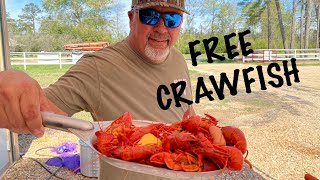 2 Sack Free Crawfish Boil [upl. by Nhguav604]