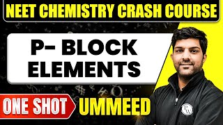 P BLOCK ELEMENTS in 1 Shot  All Concepts Tricks amp PYQs  NEET Crash Course  Ummeed [upl. by Bern]