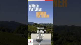 How to Pronounce Grüner Veltliner howtopronounce austria grunerveltliner [upl. by Holihs786]