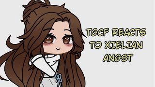 TGCF reacts to Xielian Angst Heavens Official Blessings Reacts 23 SHORT AGAIN [upl. by Nomma]