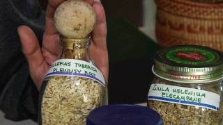 Alternative Medicine Herbal Remedies  Natural Treatments for Asthma Symptoms [upl. by Ressler]