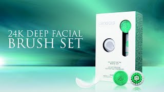 Introducing the OROGOLD 24K Deep Facial Brush Set [upl. by Adamik279]