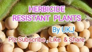 Herbicide Resistant plantsRR Soybean [upl. by Adolphus690]