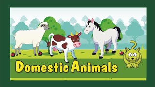 Domestic Animals [upl. by Amer]