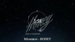 Måneskin  HONEY [upl. by Nirol]