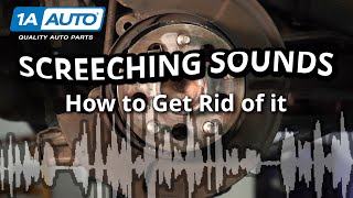 Screeching Sound When Braking in Reverse Simple Steps to Get Rid of the Noise in Your Car or Truck [upl. by Croom]