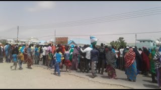 Daawo Shacabka Puntland oo isku so baxay ayago aad u taagersan Saciid Deni doorashadii PL oo [upl. by Nickolai]