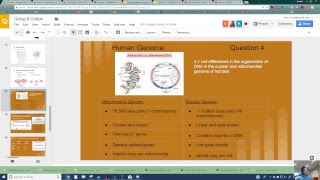 Mitochondrial Genome Vs Nuclear Genome [upl. by Snowman532]