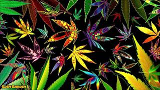 The Best Music To Listen To While High Smoking Weed [upl. by Ennayrb]