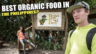 BEE FARM Restaurant in Philippines  Unreal Food [upl. by Ahsien]