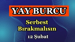 Yay Burcu 12  18 Şubat Haftalık Burç Yorumları [upl. by Sivle238]