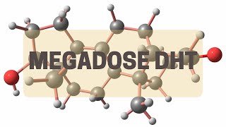 Dihydrotestosterone DHT Megadose [upl. by Nemsaj865]