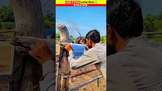 लड़के ने किया अनोखा कांड Wood working with art handcraft ideas home maderal telentskillar [upl. by Etennaej]