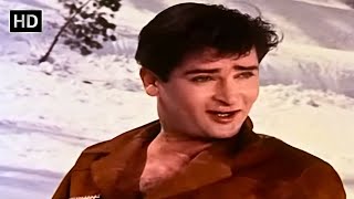 Chahe Koi Mujhe Junglee Kahe  Junglee 1961  Saira Banu  Shammi Kapoor  Mohd Rafi Retro Songs [upl. by Ardnauqal]