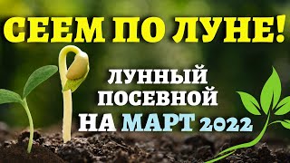 ТОЧНЫЙ ЛУННЫЙ ПОСЕВНОЙ КАЛЕНДАРЬ НА МАРТ 2022 по дням лунныйпосевнойкалендарь март2022 [upl. by Wendi]