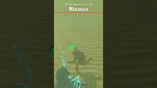 Molduga jumpscare [upl. by Arquit]