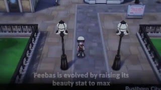 How to evolve Feebas Pokemon ORAS [upl. by Erotavlas863]