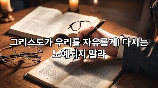 Galatians 5장 NIV bible 갈라디아서 한글자막 [upl. by Rodablas]