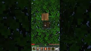 I accidentally switched my axe with my pickaxe😂 minecraft shorts [upl. by Nnyloj]