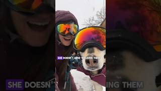 Best Ski Goggles 2024 🥽 shorts goggles [upl. by Meuser]