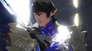 Whenever Aymeric Looks In My General Direction FFXIV [upl. by Irehc]