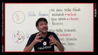 1001 itens para o Enem  CN0679 QUAIS AS PRINCIPAIS DIFERENÇAS ENTRE CÉLULA EUCARIOTA E PROCARIOTA [upl. by Airasor701]